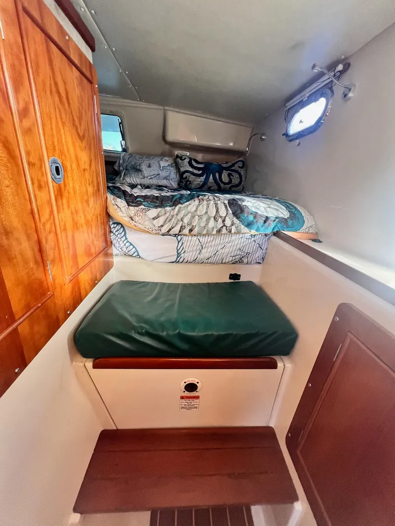 Slide: The Image of PDQ MV34 2006 - 125