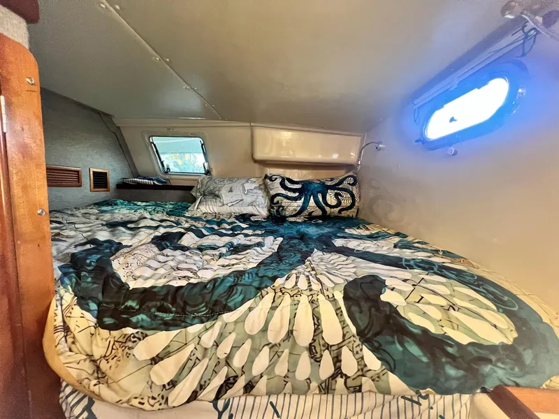 Slide: The Image of PDQ MV34 2006 - 129