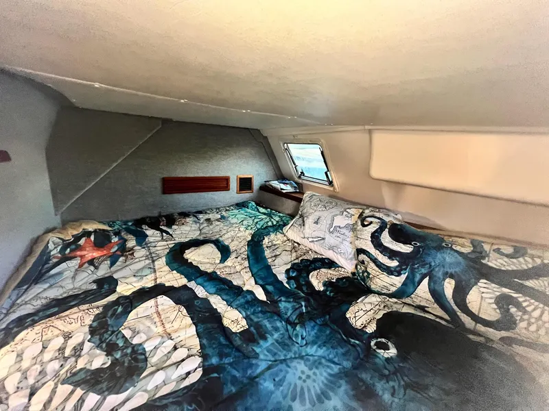 Slide: The Image of PDQ MV34 2006 - 132