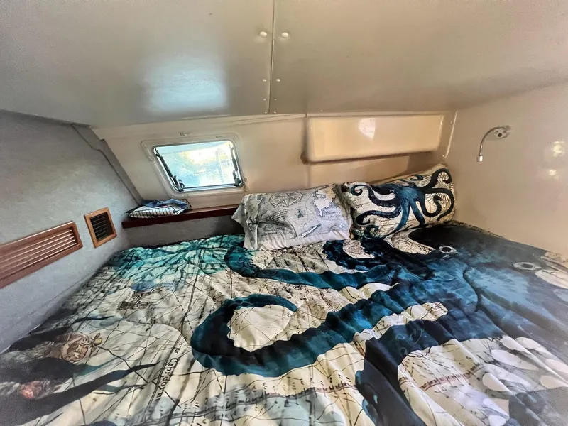 Slide: The Image of PDQ MV34 2006 - 133