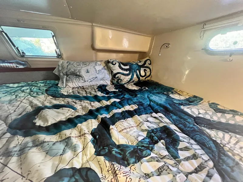 Slide: The Image of PDQ MV34 2006 - 134