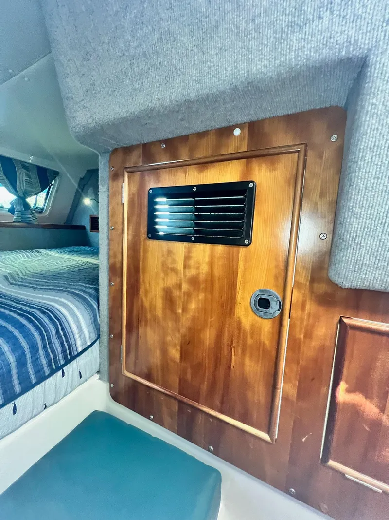 Slide: The Image of PDQ MV34 2006 - 163