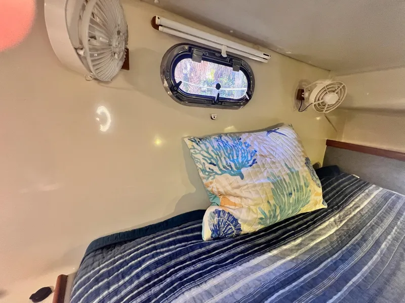 Slide: The Image of PDQ MV34 2006 - 168