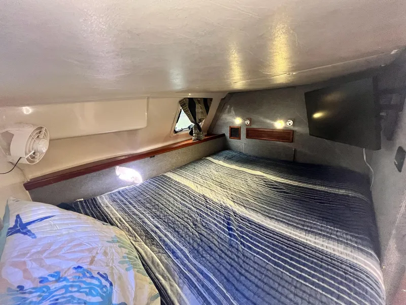 Slide: The Image of PDQ MV34 2006 - 169