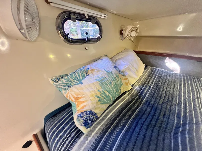 Slide: The Image of PDQ MV34 2006 - 170