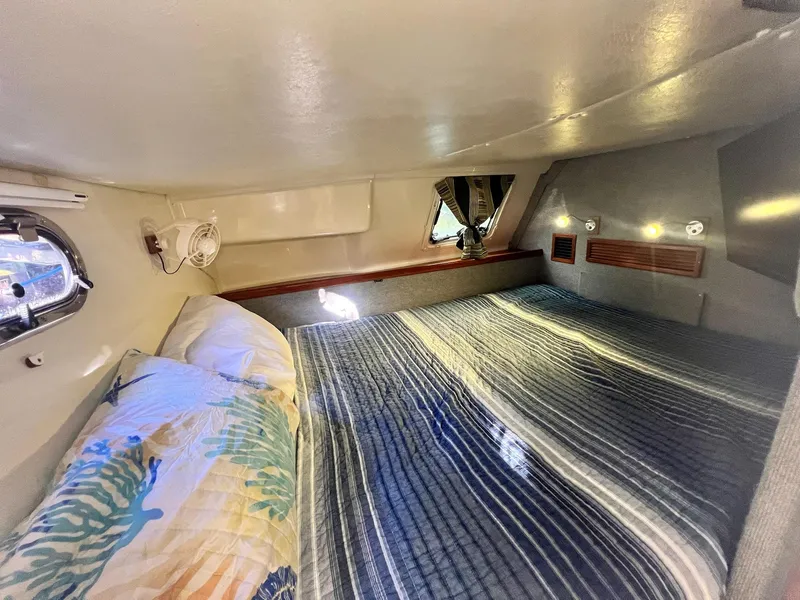 Slide: The Image of PDQ MV34 2006 - 172