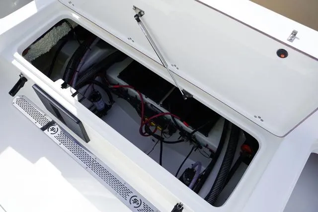 Slide: The Image of Sea Pro 245 FLX 2025 - 20