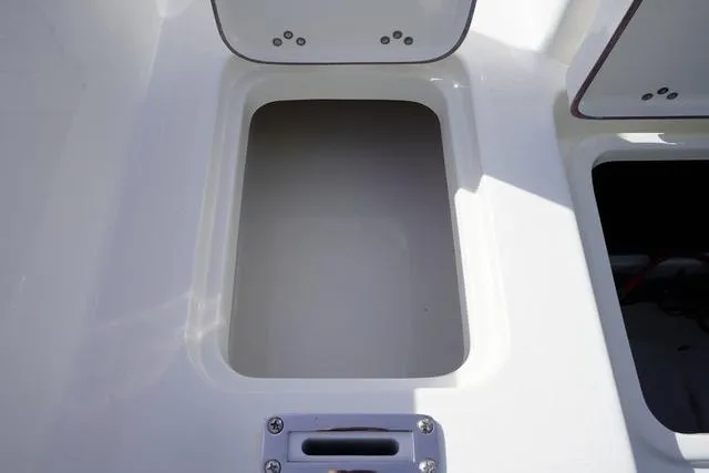 Slide: The Image of Sea Pro 245 FLX 2025 - 21