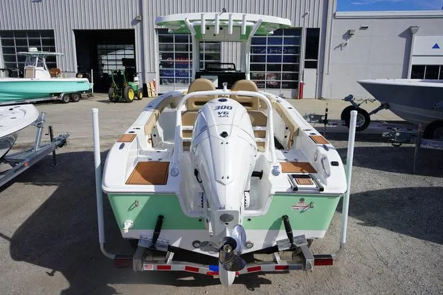 Slide: The Image of Sea Pro 245 FLX 2025 - 24