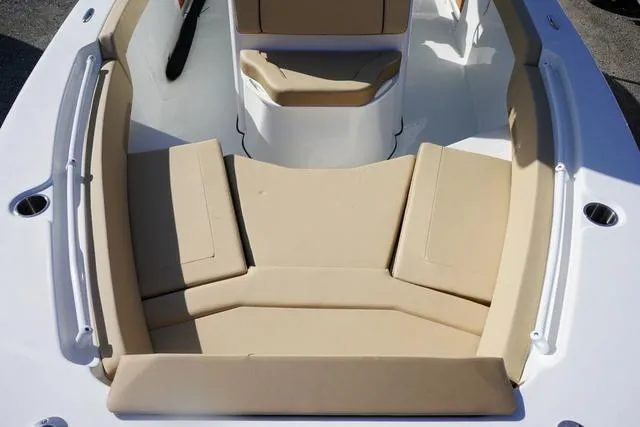 Slide: The Image of Sea Pro 245 FLX 2025 - 6