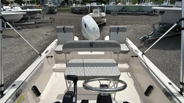 Slide: The Image of Carolina 17 LS 2025 - 3