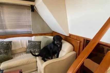 Slide: The Image of Black dog sitting on a couch inside a 2002 Silverton 453 Motor Yacht. - 18