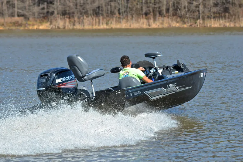 Slide: The Image of Lowe 195 Stinger 2015 - 5