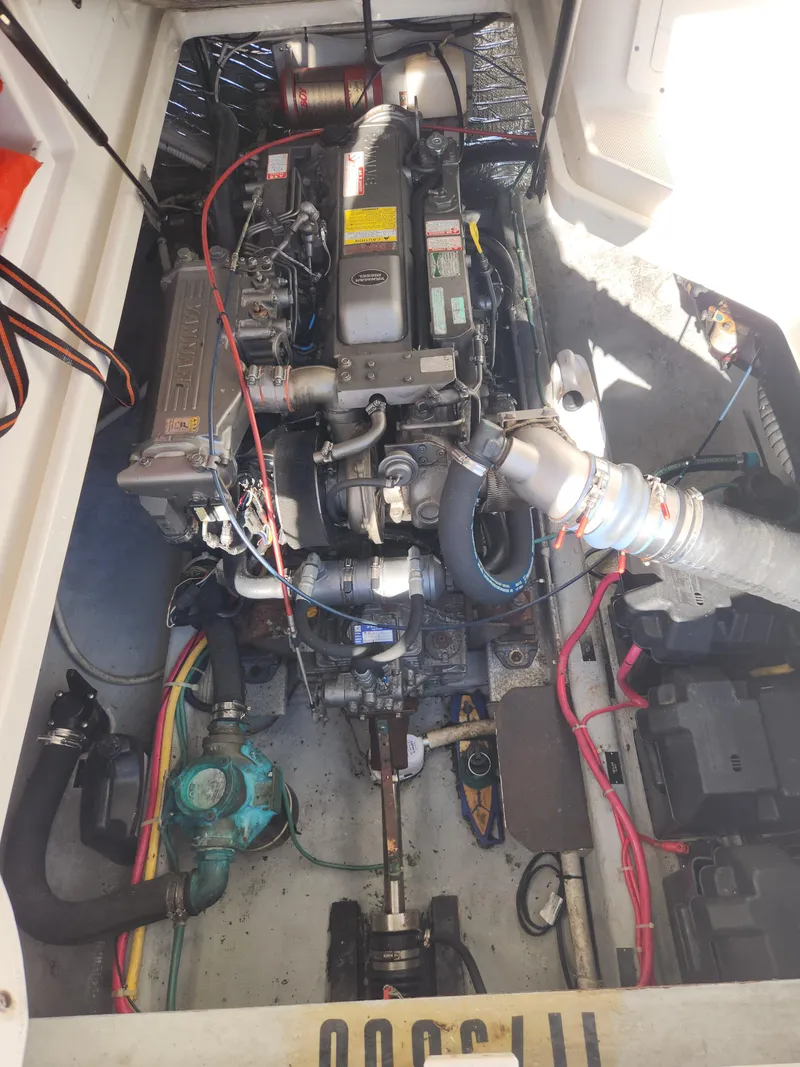 Slide: The Image of Back Cove 29 2005 - 39