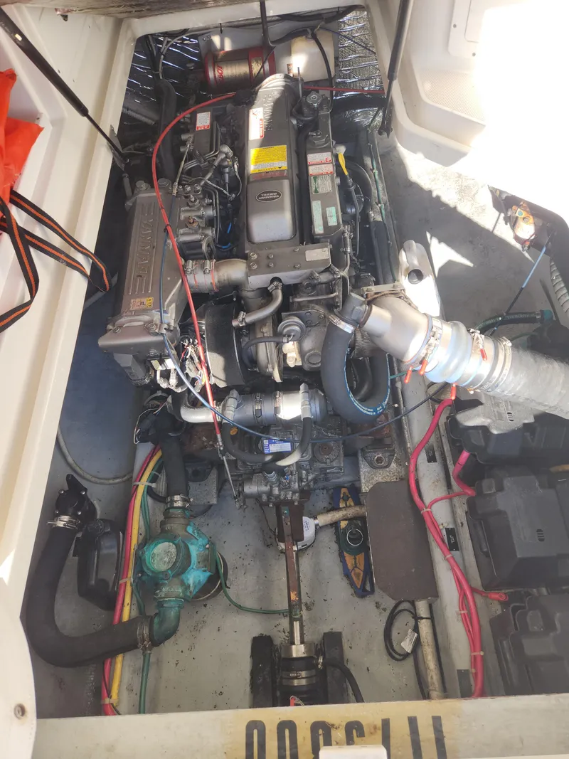 Slide: The Image of Back Cove 29 - 41