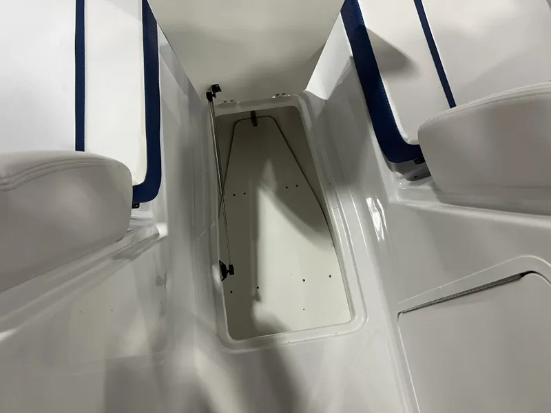 Slide: The Image of Scarab SBI255 2025 - 12