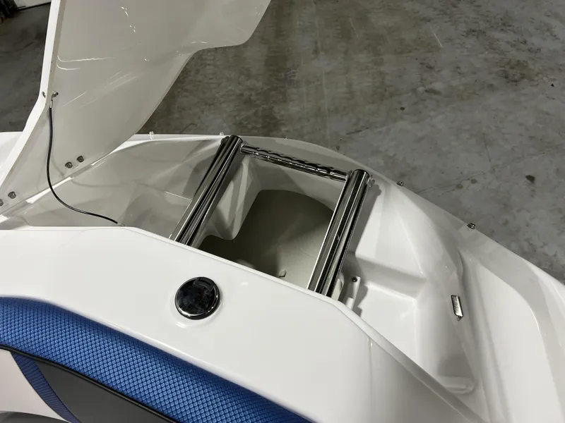 Slide: The Image of Scarab SBI255 2025 - 13