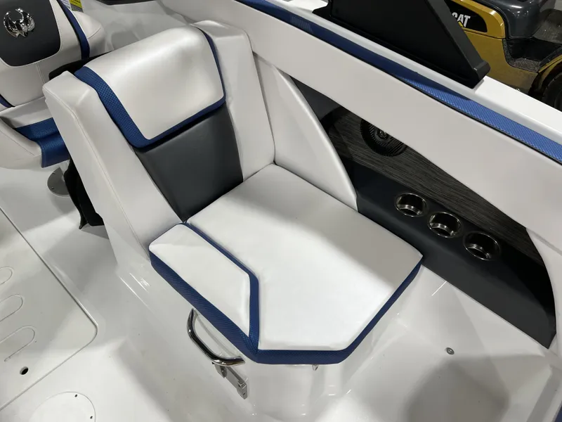 Slide: The Image of Scarab SBI255 2025 - 21