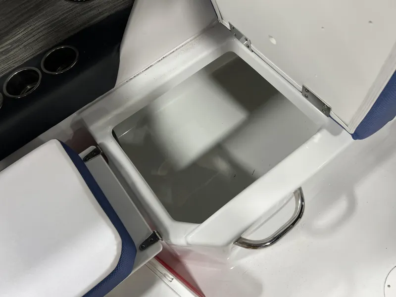 Slide: The Image of Scarab SBI255 2025 - 22