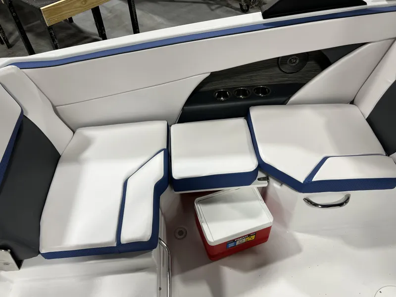 Slide: The Image of Scarab SBI255 2025 - 23