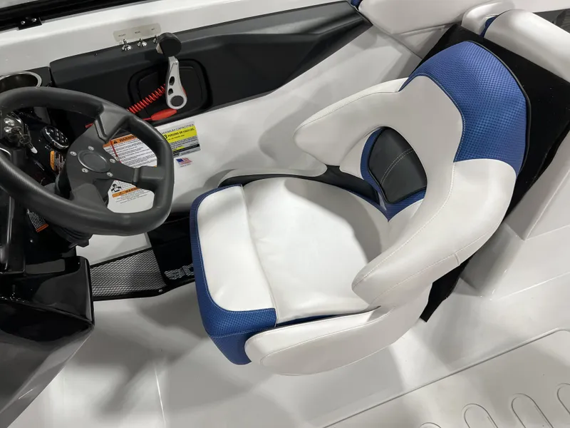 Slide: The Image of Scarab SBI255 2025 - 27