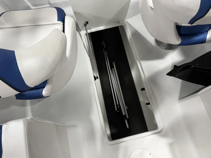 Slide: The Image of Scarab SBI255 2025 - 28