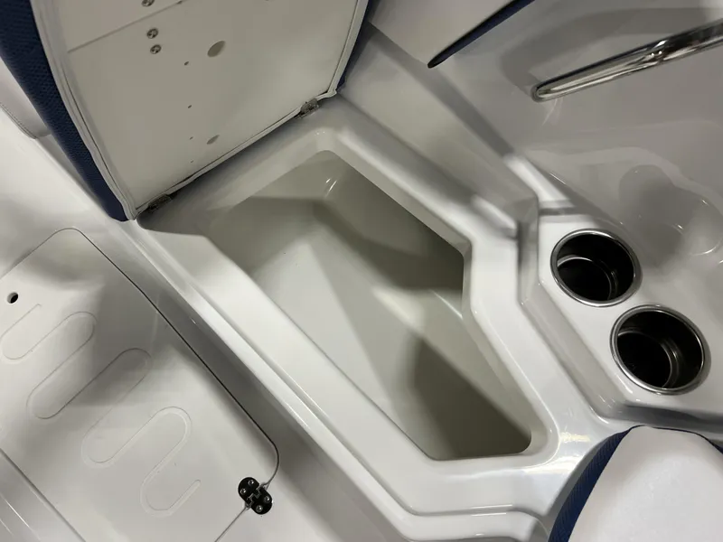 Slide: The Image of Scarab SBI255 2025 - 29