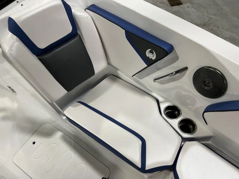 Slide: The Image of Scarab SBI255 2025 - 30