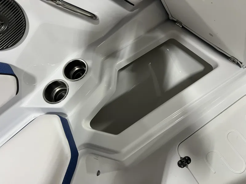 Slide: The Image of Scarab SBI255 2025 - 31