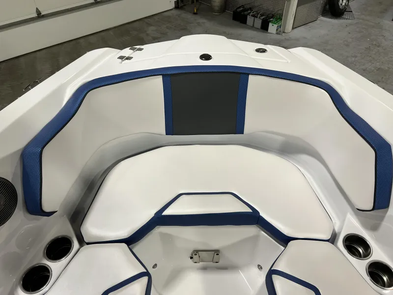 Slide: The Image of Scarab SBI255 2025 - 33