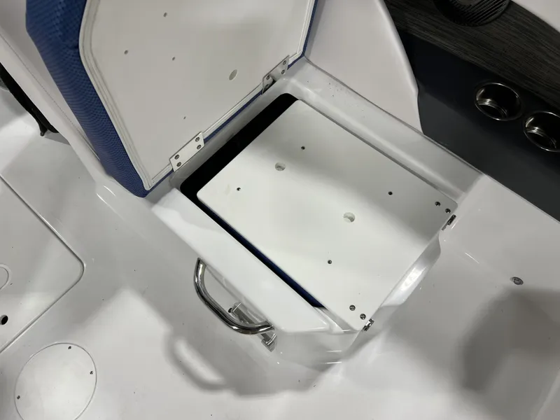 Slide: The Image of Scarab SBI255 2025 - 4