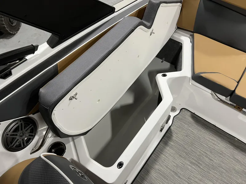 Slide: The Image of Scarab SBI215 2025 - 16