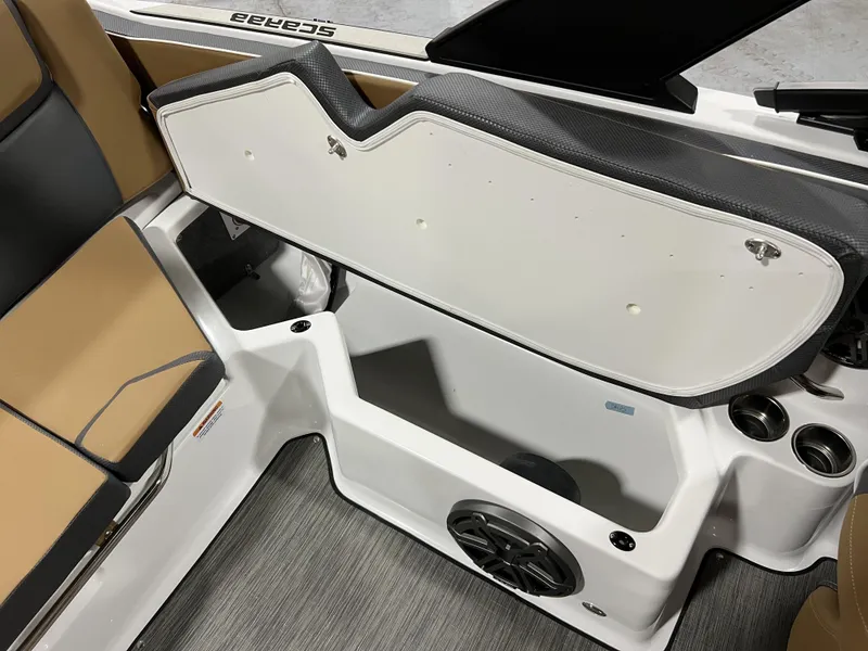 Slide: The Image of Scarab SBI215 2025 - 17