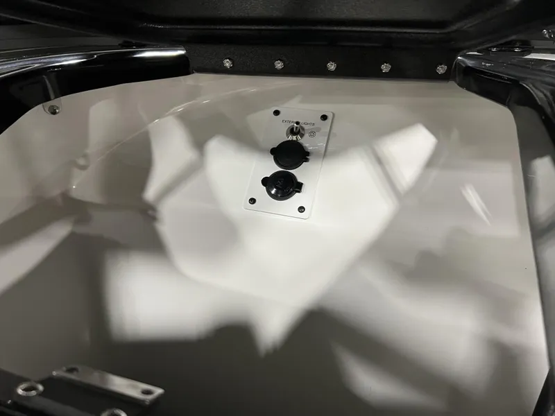 Slide: The Image of Scarab SBI215 2025 - 19