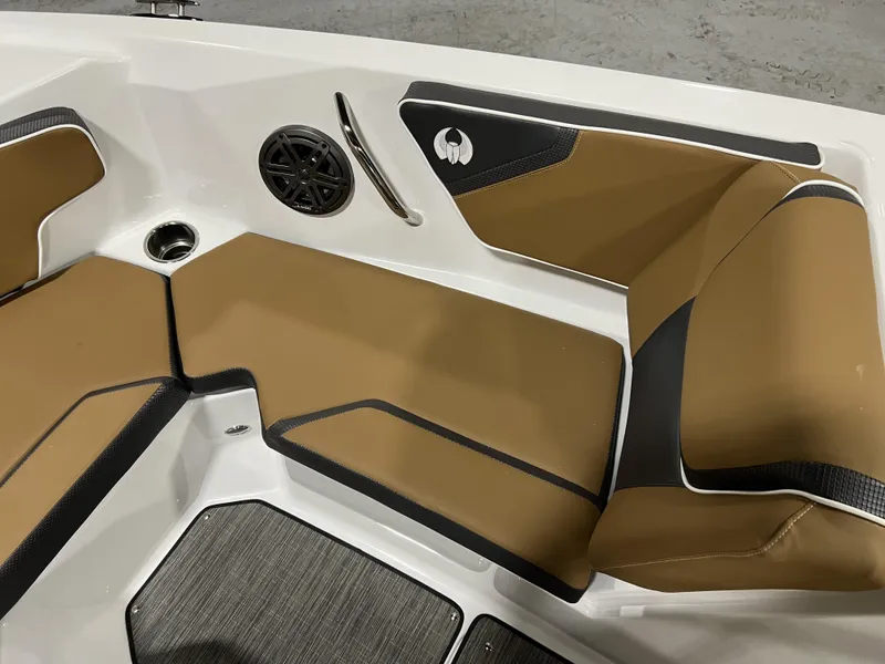 Slide: The Image of Scarab SBI215 2025 - 24