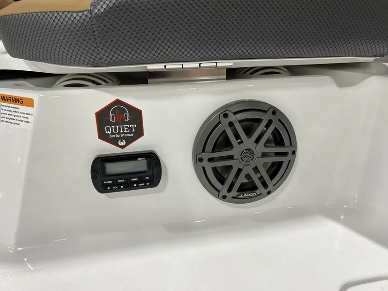 Slide: The Image of Scarab SBI215 2025 - 5