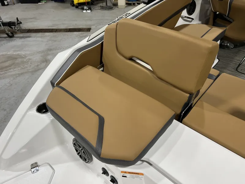 Slide: The Image of Scarab SBI215 2025 - 6