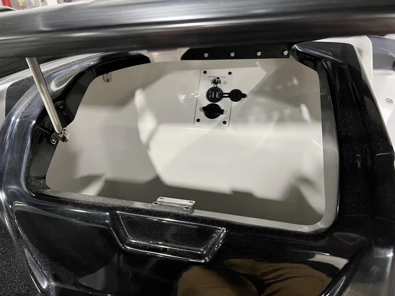 Slide: The Image of Scarab SBI215 2025 - 10