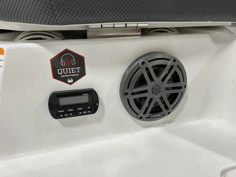 Slide: The Image of Scarab SBI215 2025 - 18