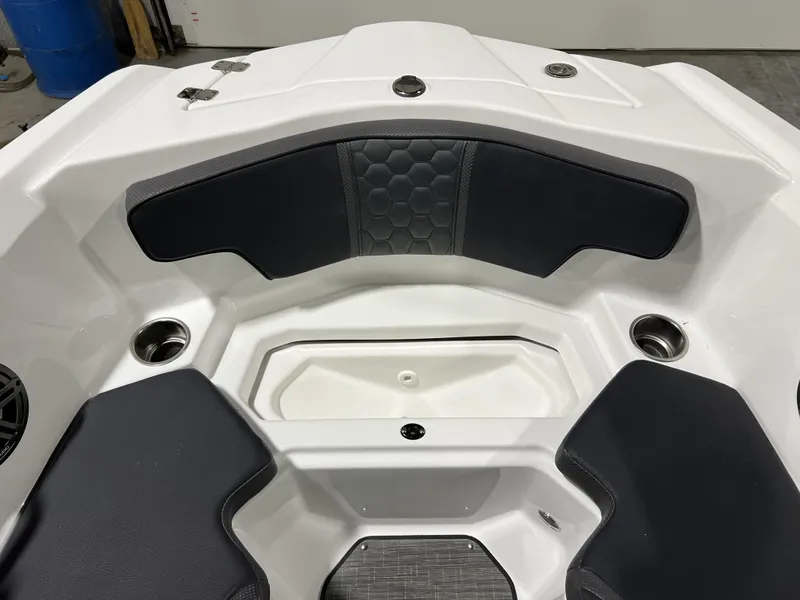 Slide: The Image of Scarab SBI215 2025 - 25