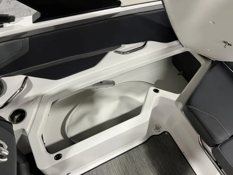 Slide: The Image of Scarab SBI215 2025 - 7