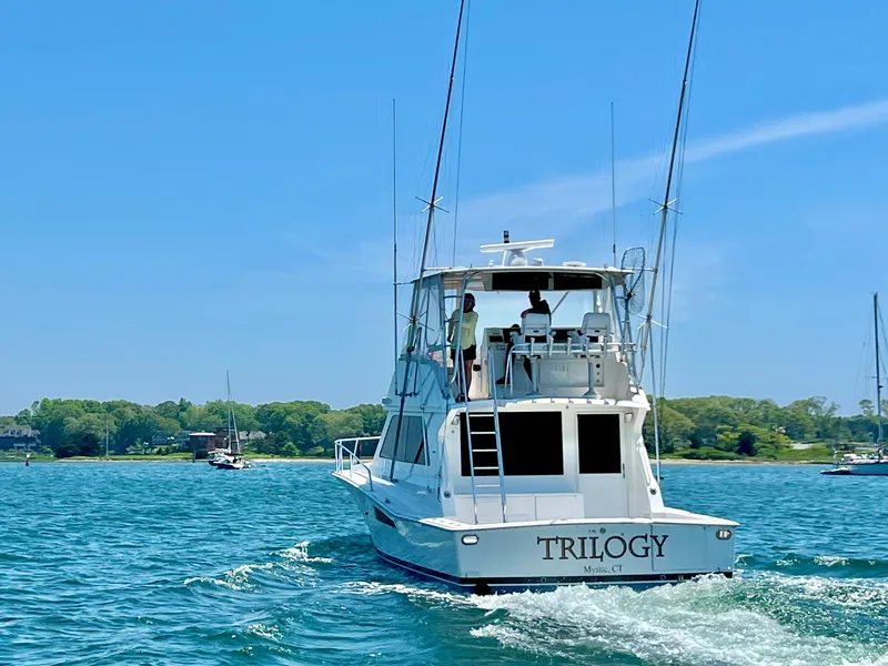 Slide: The Image of Viking 47 Trilogy - Stern - 1