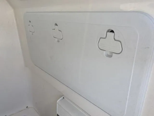 Slide: The Image of Everglades 235CC 2022 - 61