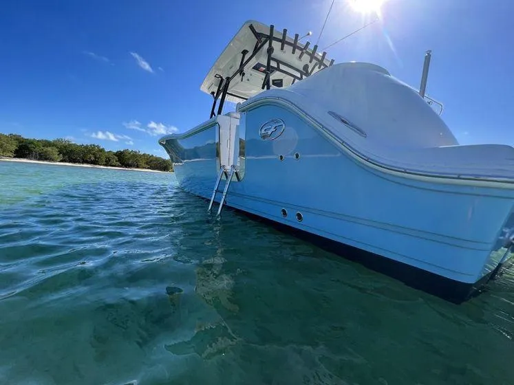 Slide: The Image of 2022 Sea Fox 328 Commander boat anchored in clear blue water near a sandy beach. - 9