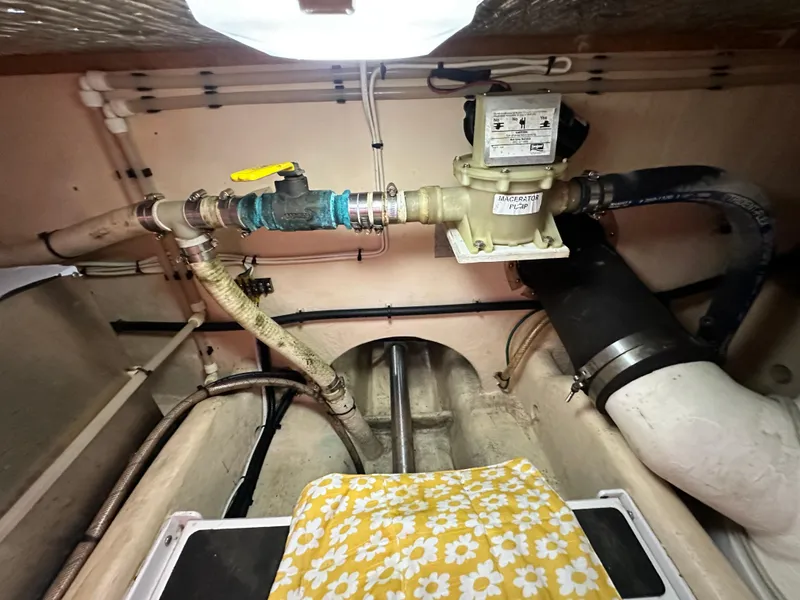 Slide: The Image of Nordic 37 2001 - 67