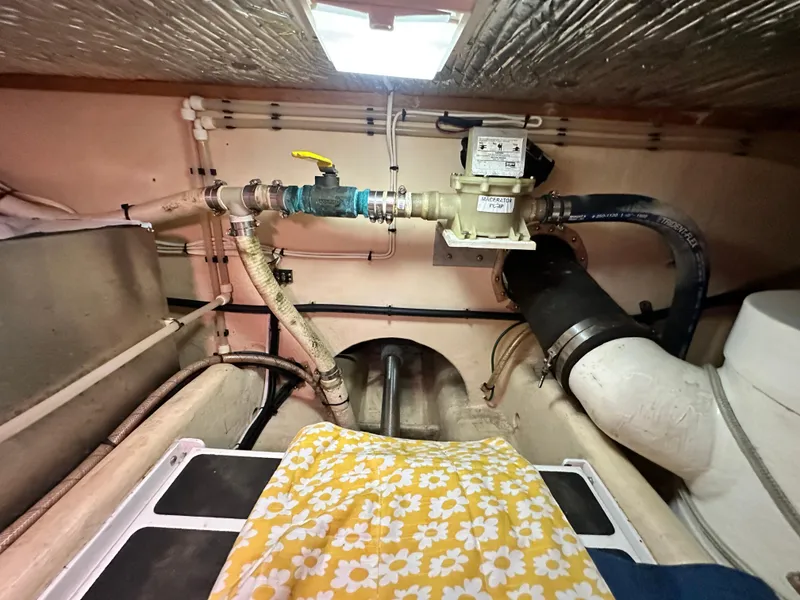 Slide: The Image of Nordic 37 2001 - 68