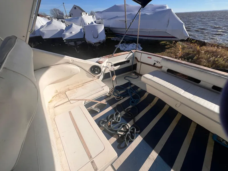 Slide: The Image of 1989 Sea Ray 390 Express Cruiser interior with striped rug, overlooking water. - 3