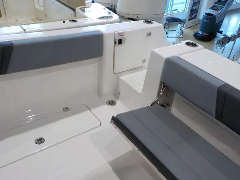 Slide: The Image of Robalo Center Console R250 2025 - 13