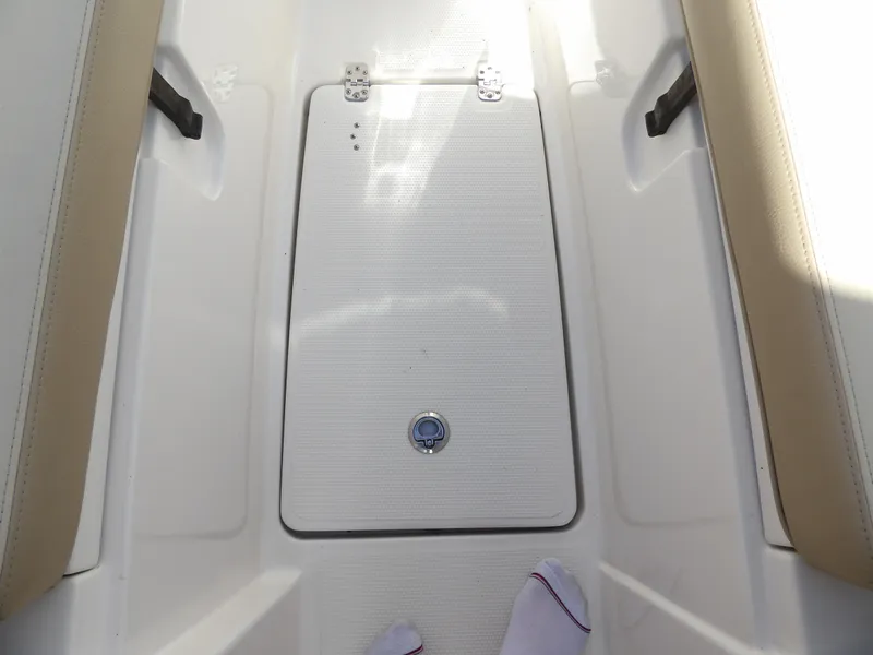 Slide: The Image of Sailfish 275 DC 2020 - 59