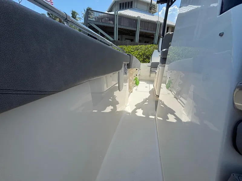 Slide: The Image of Stingray 273 CC 2023 - 13